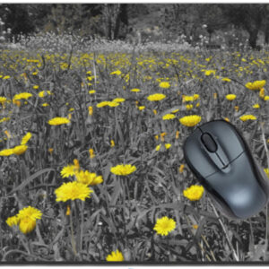 Tapis de souris Fleurs Champ