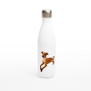 Bouteille d'eau Chien Pinsher