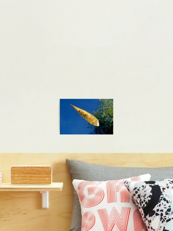 Impression photo - Feuille sur eau – Image 2
