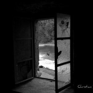 Impression photo - Fenêtre oiseau