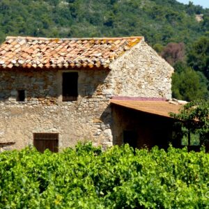 Impression photo - Villa Marius
