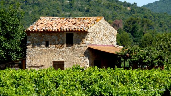 Impression photo - Villa Marius