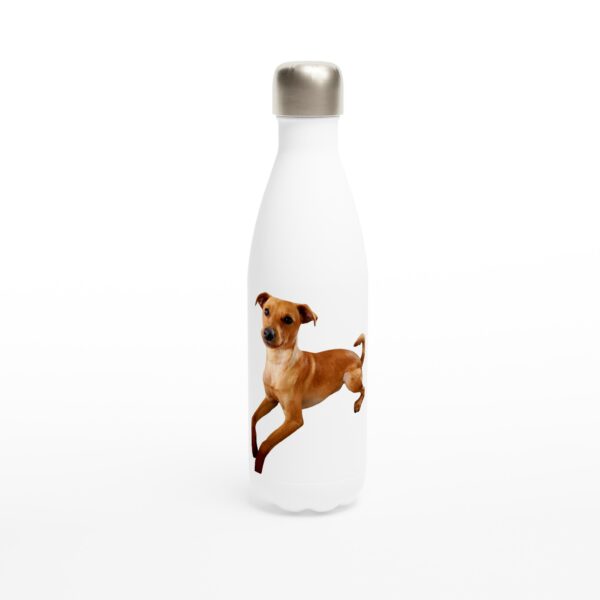 Bouteille d'eau Pincher