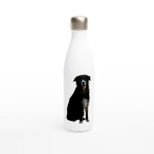 Bouteille d'eau Border Collie