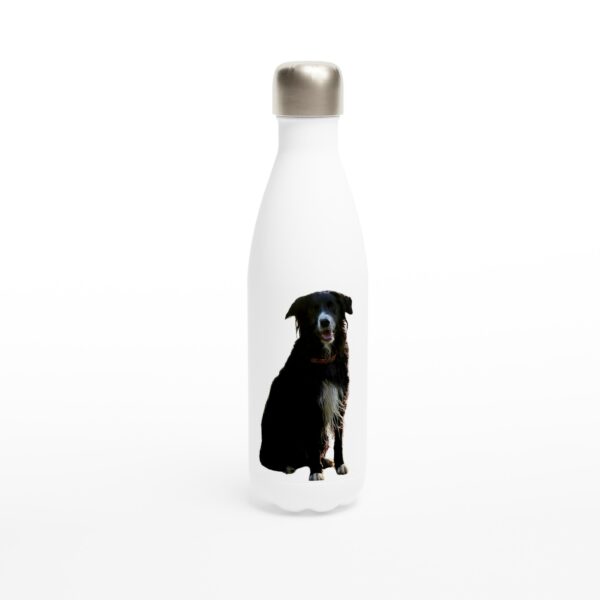 Bouteille d'eau Border Collie