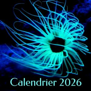Calendrier