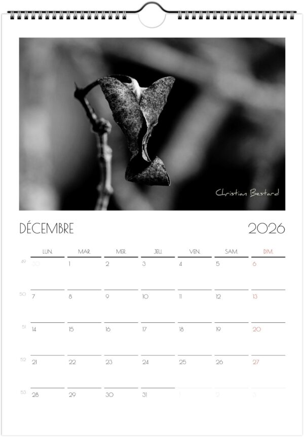 Calendrier 2026 – Image 3