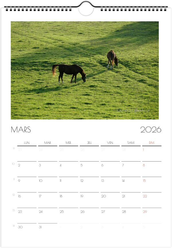 Calendrier 2026 – Image 12