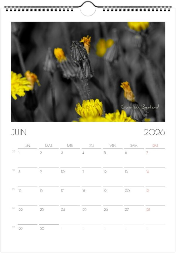 Calendrier 2026 – Image 9